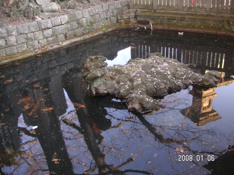 s_PICT0015.jpg